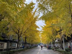 -四川大学(望江校区)