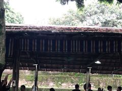 -满記土窑烧鷄波浪山莊