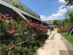 -深圳市人才园(深南大道店)