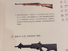 -真枪会射击俱乐部(河西中央公园店)