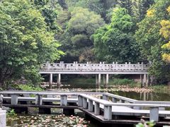 -深圳国际园林花卉博览园