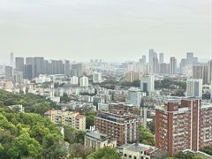 -福道