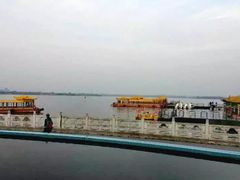 -溱湖国家湿地公园