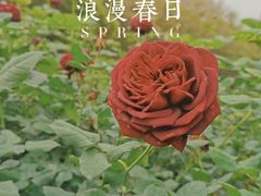 -人民公园(罗湖区)