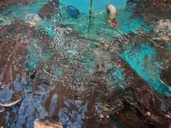 -魏铭鱼头捞饭(晋阳路店)