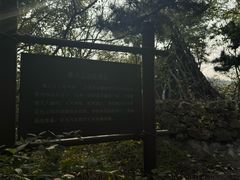 -棒棰岛宾馆景区