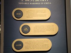 -中国湿地博物馆