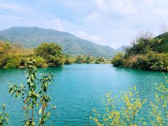 -龙坞茶村