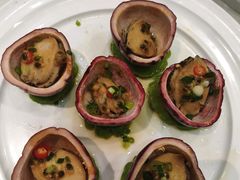 -大东海海鲜酒楼(渔人码头总店)