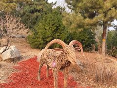 -北京西山国家森林公园