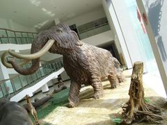 DSCI0159-中国第四纪冰川遗迹陈列馆