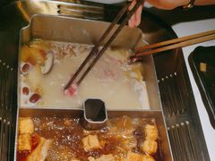 -九鼎轩脆毛肚火锅(南京东路店)