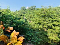 -长泰漂流水陆空景区