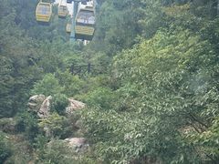 -兴福老面馆(寺路街店)