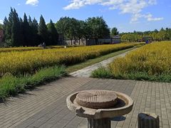 -北坞公园