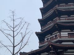 -洋湖国家湿地公园