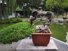 -泰州凤城河风景区-泰山公园