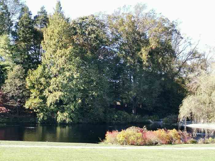 longwood gardens-"费城郊外的长木花园真是个好去处!让我觉得.