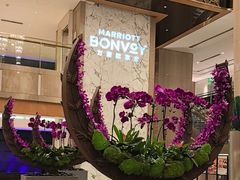 -广州粤海喜来登酒店