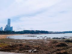 -八大关景区