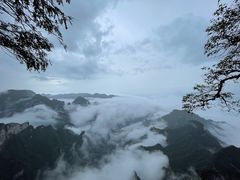 -张家界天门山国家森林公园