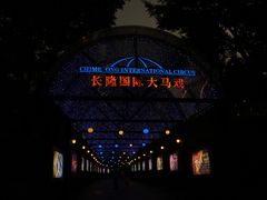 -广州长隆国际大马戏