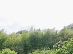 -南北湖风景区