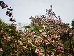 -宝岛公园
