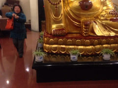iphone_upload_pic-张生记(双菱店)