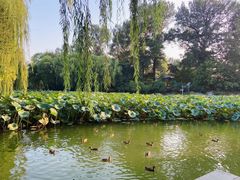 -中国中医科学院西苑医院(本部)