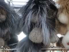 -大营西亚皮草新城