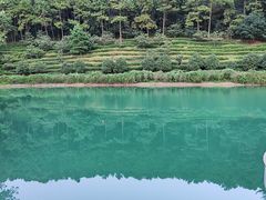 -九龙潭景区