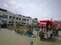 -马大胡子清真西北菜