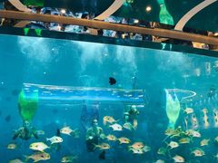 -瑞德姆美人鱼海底演艺主题餐厅(亚龙湾店)