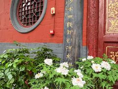 -洛阳白马寺