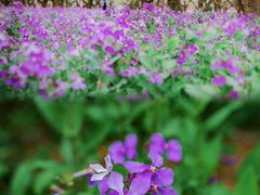 -江苏三台山国家森林公园