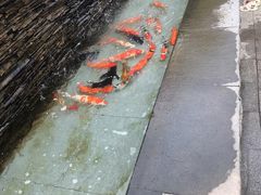 -Ours树朵家亲子餐厅(远策中心店)