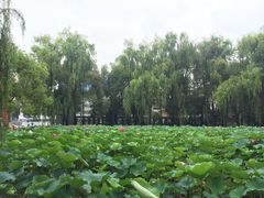 -四川大学(望江校区)