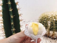 布蕾糯米糍-喜茶(广州石牌桥店)