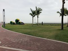 -野狸岛