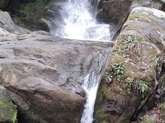 -大围山国家森林公园