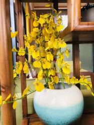 点击看大图 -莲生母婴月子中心(清水河公园店)