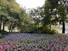 -狼山风景名胜区