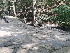 -北京上方山国家森林公园
