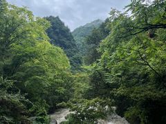 -天生桥景区