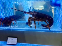 -映像威海·威海宴(威高广场店)