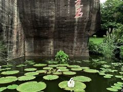 -广州莲花山旅游区