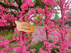 -北京凤凰岭