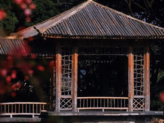-茅家埠