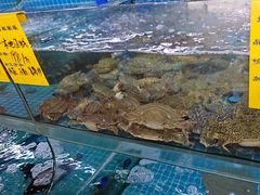-坛南湾阿强农家乐.海鲜大排档老字号(福州地标美食店)
